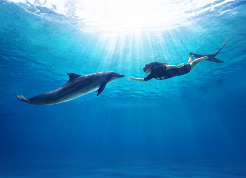 ドルフィンアイランド_アドベンチャー